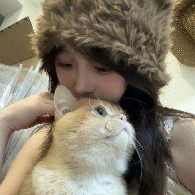 墨城谜案